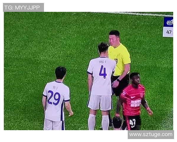 足球明星在球场怒斥裁判引发球迷热议赛后反响不一