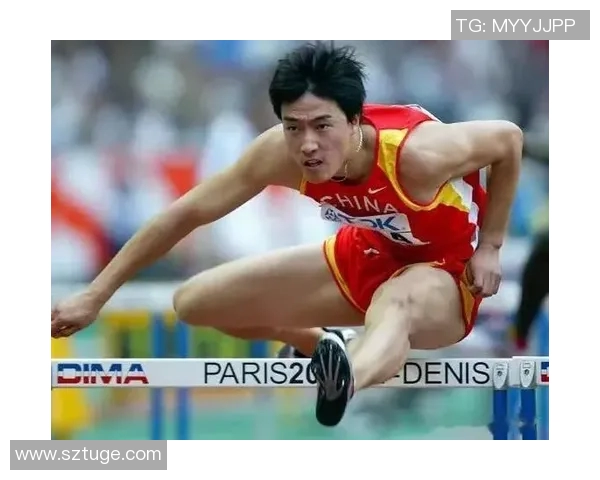 全球视野下的中国体育明星影响力排名与成就分析